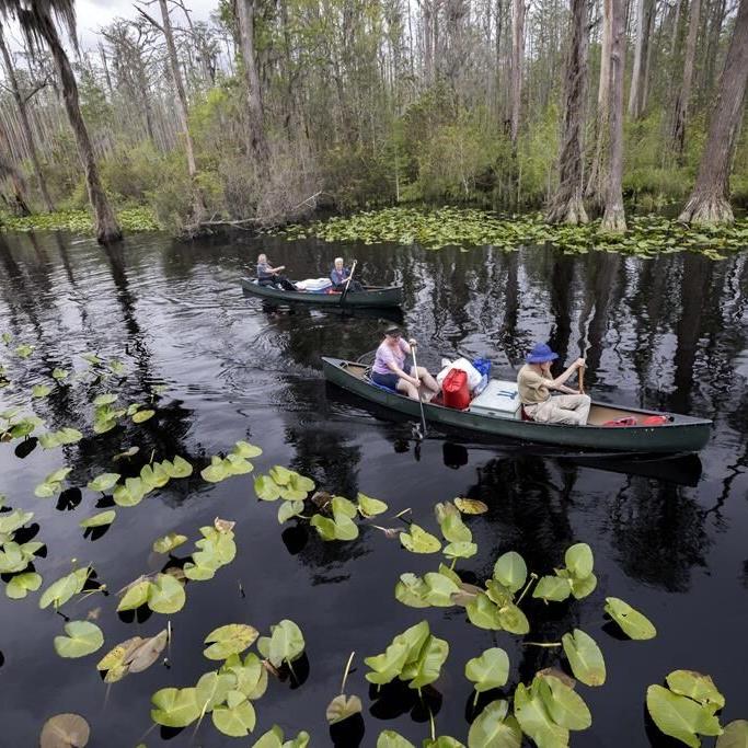 U.S. agency sued over hands-off decision on Okefenokee mine